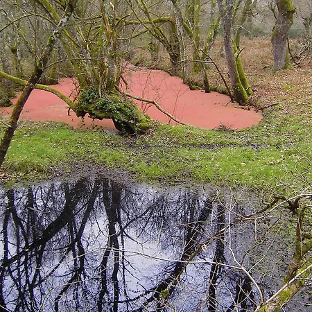 Fervenza Casa Grande & Restaurante 5*