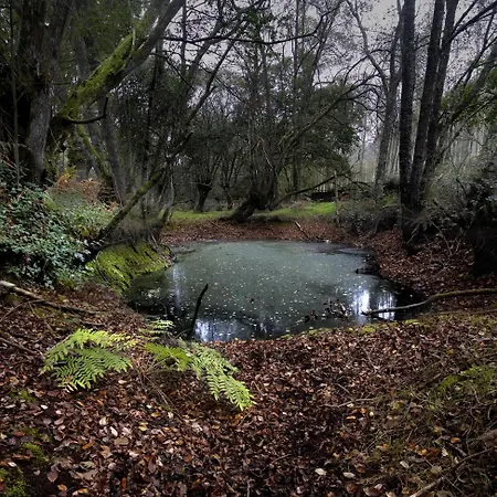 Fervenza Casa Grande & Restaurante Reguengo