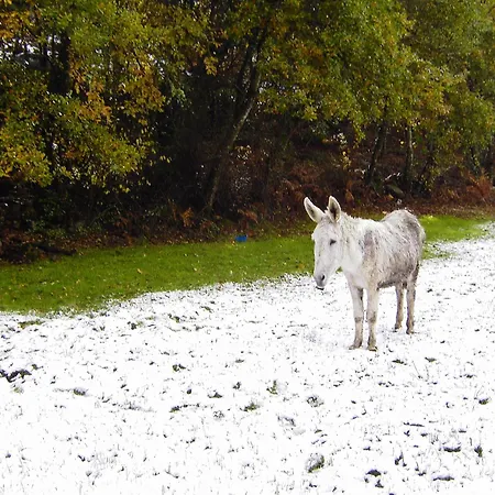 Fervenza Casa Grande&restaurante 5*