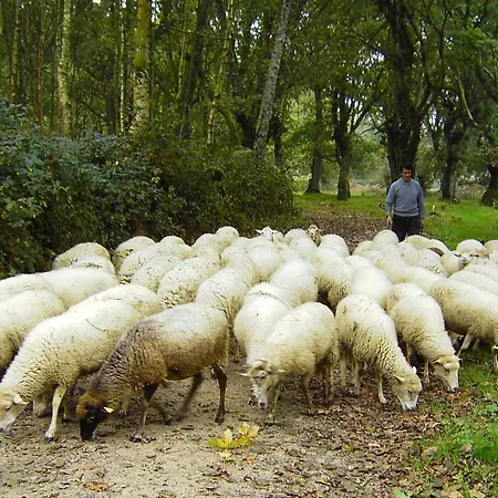 Hotel Fervenza Casa Grande&restaurante 5*