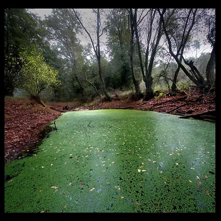 Hotel Fervenza Casa Grande&restaurante Reguengo