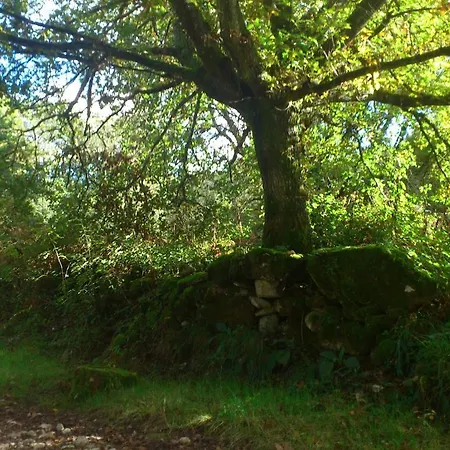 Fervenza Casa Grande & Restaurante 5* Reguengo