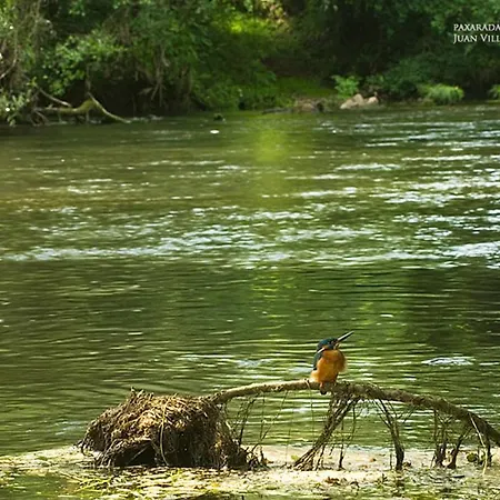 Hotel Fervenza Casa Grande&restaurante Reguengo