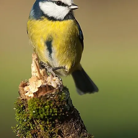 Fervenza Casa Grande & Restaurante 5*