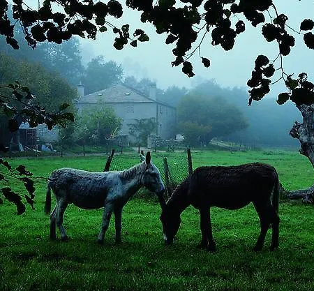 Fervenza Casa Grande&restaurante Reguengo