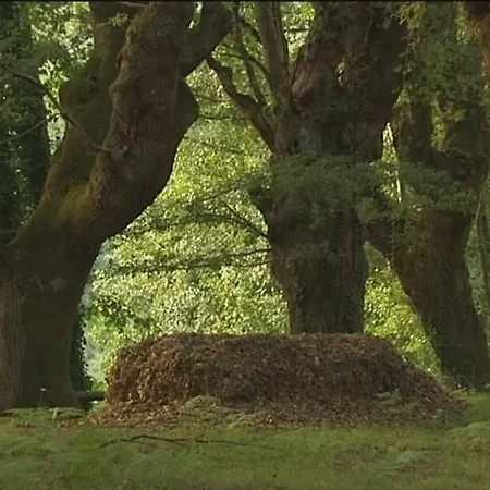 Fervenza Casa Grande&restaurante Hotel 5*