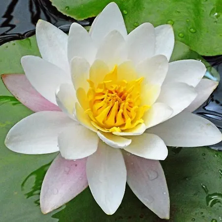 Fervenza Casa Grande&restaurante Hotel Reguengo